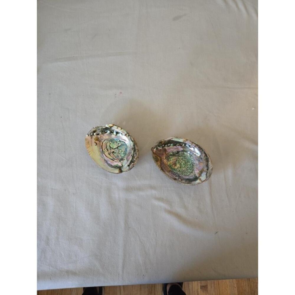 Vtg California Abalone Shells 6" Mother of Pearl Iridescent Jewelry Tray 2 pc